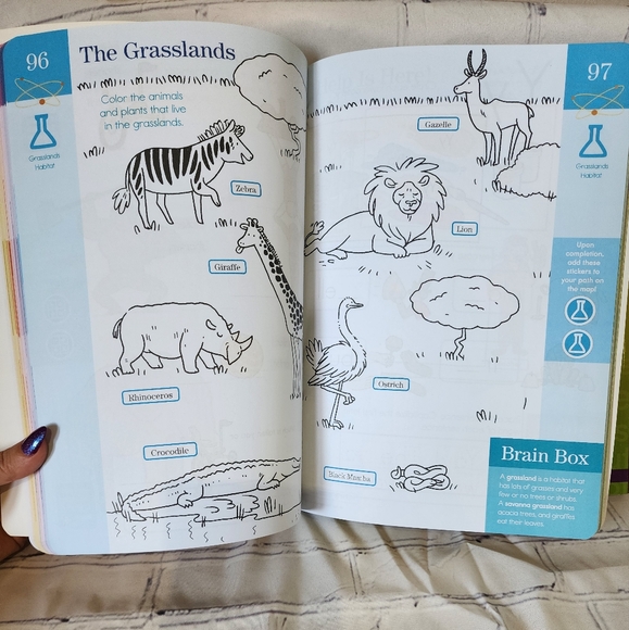 Kindergarten/1st Grade Workbooks - Picture 12 of 15